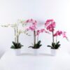 Artificial Flower 3D ORCHID SPRAY X3 IN POT GS-09819062CONTI