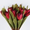 Artificial Flower Autumn Mini Tulip*12 GS-1280048-R1