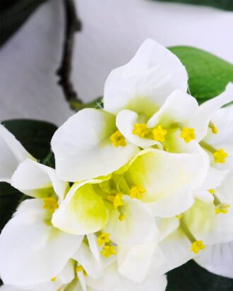 Artificial Flower 20*90CM Bougainvillea?spectabilis?Willd GS-51919003-W1