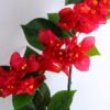 Artificial Flower 20*90CM Bougainvillea?spectabilis?Willd GS-51919003-R1