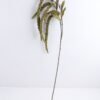 Artificial Flower 14.5*112CM Bristlegrass spray*5 GS-52519013