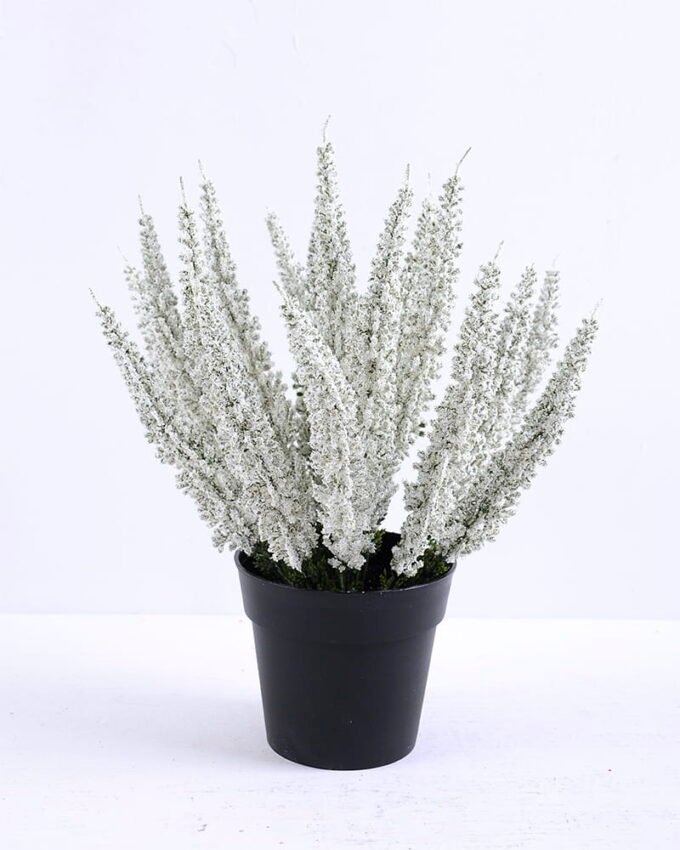 Artificial Flower 22*22*29cm  Calluna in Plastic pot GS-03319380-W1