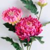 Artificial Flower H:23*71cm Chrysanthemum GS-1450113-R2