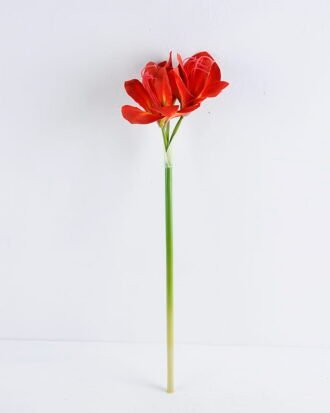 Artificial Flower Clivia Miniata GVC-2343-R1