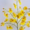 Artificial Flower 27*87cm Dancing Orchid*5 GS-09819059