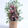 Artificial Flower 13*13*22cm Grass in paper pot GS-30319110