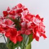 Artificial Flower 28*46CM Hydrange bush*5 GS-57519003CONTI-R1