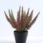 Artificial Flower 20*20*24cm Lavender in Plastic pot GS-03320002P0P24