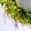 Artificial Flower 65*20CM Leaves Wreath GS-51919004