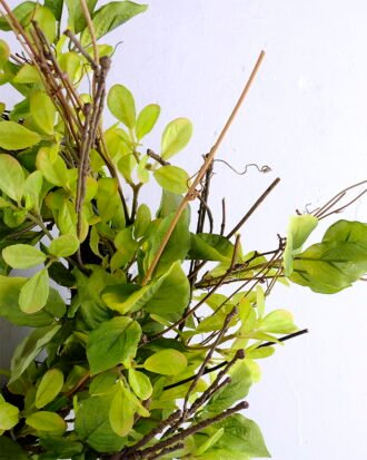 Artificial Flower 50*19CM Leaves Wreath GS-51919006