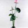 Artificial Flower Lotus in pot with roots GS-17719021