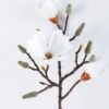 Artificial Flower 23*68CM Mangnolia GS-09819006-W1