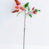 Artificial Flower 26*57CM Mango Spary GS-44220004 3 Artificial Flower 26*57CM Mango Spary GS-44220004