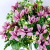 Artificial Flower 24*41CM Orchid Bush*9 GS-47919013-Z1