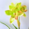 Artificial Flower 22*55cm Orchid Spray*3 GS-12819014