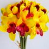 Artificial Flower 14*28cm Orchid bouquet*9 GS-12819013-Y1