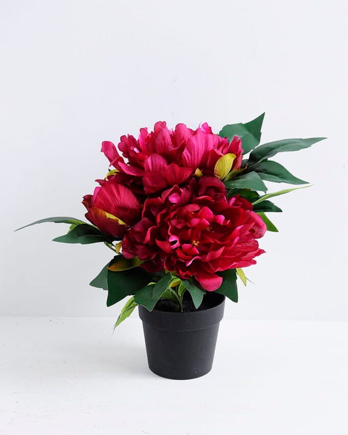 Artificial Flower 31*21*26CM Peony in plastic pot GS-05520001