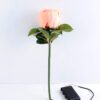 Artificial Flower Peony with roots GS-17719022