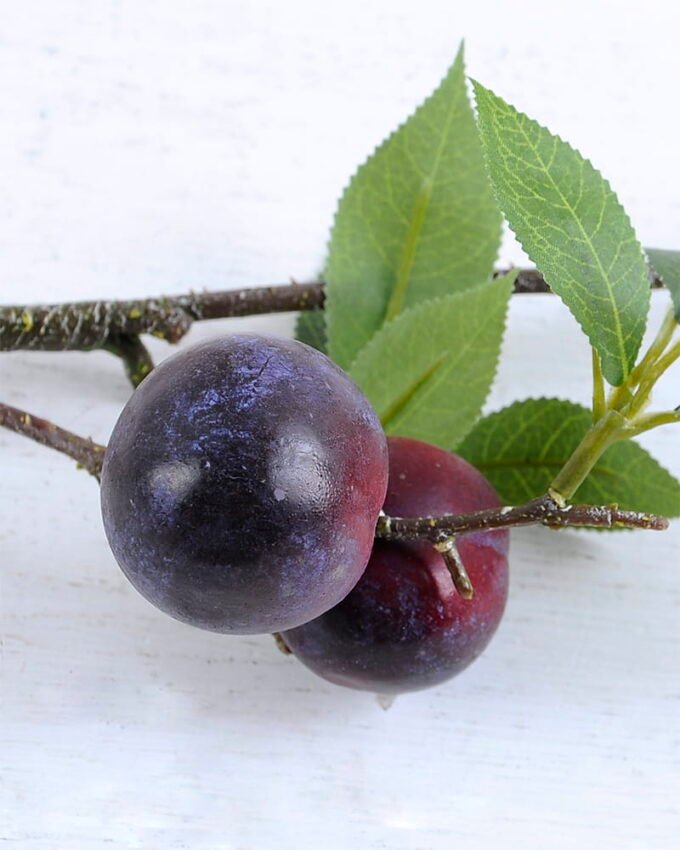 Artificial Flower 15*61CM Plum spray GS-44220011-Z1