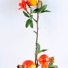 Artificial Flower 15*60CM Pomegranate spray GS-44220008-Y1