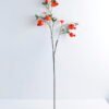 Artificial Flower 21*104CM Pomegranate spray GS-44220010-R2 1 Artificial Flower 21*104CM Pomegranate spray GS-44220010-R2