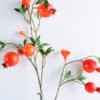 Artificial Flower 21*104CM Pomegranate spray GS-44220010-R2 2 Artificial Flower 21*104CM Pomegranate spray GS-44220010-R2