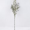 Artificial Flower 18*68CM SINGLE SPRAY GS-46619098