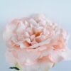Artificial Flower 20*64cm Singel Rose GS-25819014