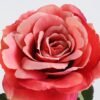 Artificial Flower 22*66cm Singel Rose GS-25819018