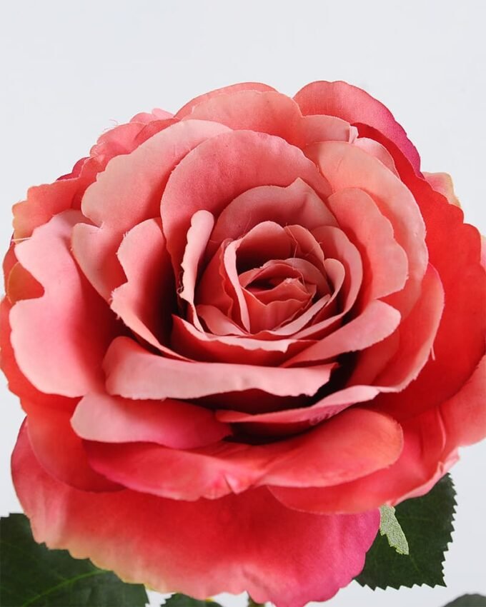 Artificial Flower 22*66cm Singel Rose GS-25819018