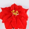 Artificial Flower 24*68CM Singel poinsettia GS-37319131