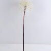 Artificial Flower 16*72CM Single Dandelion GS-57419001