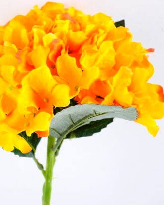 Artificial Flower 19*33CM Single Hydrangea GS-05519043-Y1