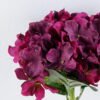 Artificial Flower 19*33CM Single Hydrangea GS-05519043-Z1
