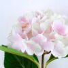 Artificial Flower 29*60CM Single Hydrangea GS-31319027-P1