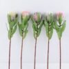 Artificial Flower 8.5*47cm Single Protea GS-09819060