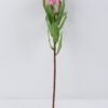Artificial Flower 8.5*47cm Single Protea GS-09819060