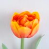 Artificial Flower Single Tulip GVC-19-2675