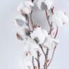 Artificial Flower 12*51cm Single artifircial cotton GS-57619012