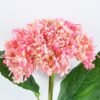 Artificial Flower 15*63CM Single hydrangea berry GS-48719003-P2
