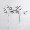 Artificial Flower 15*73cm Spray*3 GS-53619031 1 Artificial Flower 15*73cm Spray*3 GS-53619031