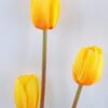 Artificial Flower 30*99cm Tulip Spray*3 GS-12819016