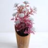 Artificial Flower 13*13*23cm Wild flowers in paper pot GS-30319109