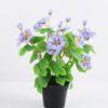Artificial Flower 23*23*30cm Wild flowers in plastic pot GS-03319329-B1