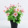 Artificial Flower 23*23*30cm Wild flowers in plastic pot GS-03319329-P1