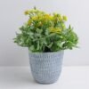Artificial Flower 21*21*22.5cm Wild fruit in Paper pot GS-03319337