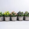 Artificial Flower 17*17*20cm Wild plants in Basket GS-03319349
