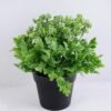 Artificial Flower 20*20*21.5cm Wild plants in plastic pot GS-03319350-W1