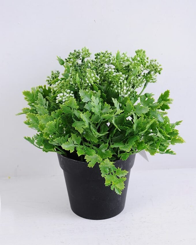 Artificial Flower 20*20*21.5cm Wild plants in plastic pot GS-03319350-W1