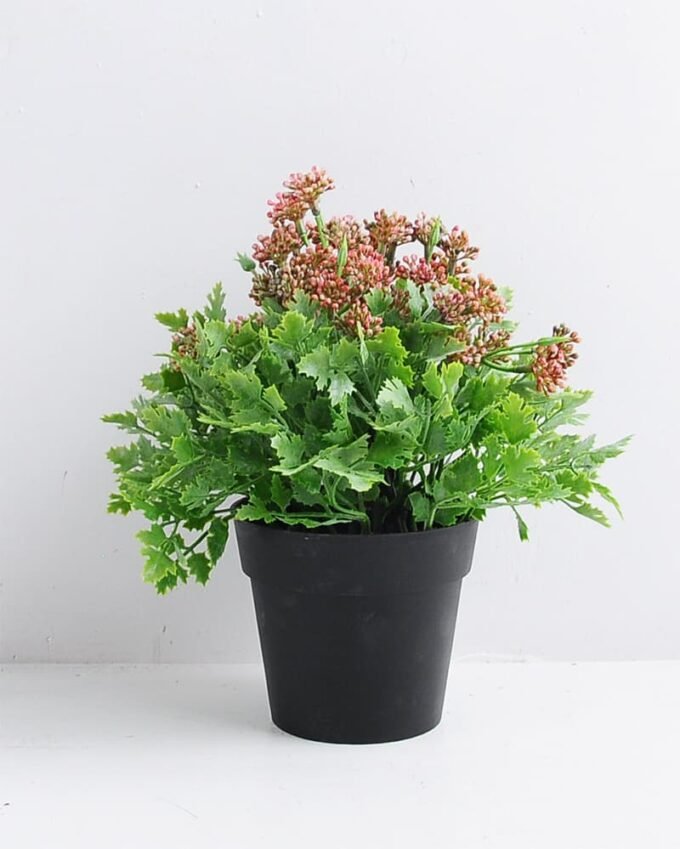 Artificial Flower 20*20*21.5cm Wild plants in plastic pot GS-03319350